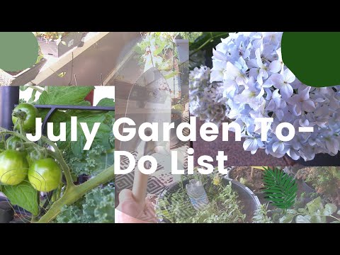What to Do in Your Garden in July 🌞 | Essential Gardening Tasks & Tips!