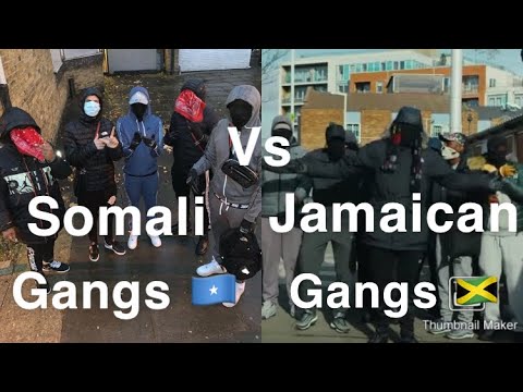 Somali Gangs 🇸🇴 Vs Jamaican Gangs 🇯🇲