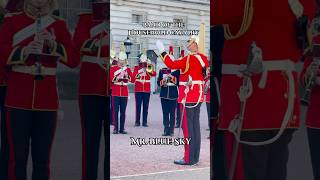 Band of the Household Cavalry playing Mr. Blue Sky #BritishArmyMusic #london #mrbluesky