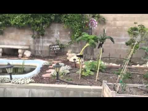 April 2015 garden