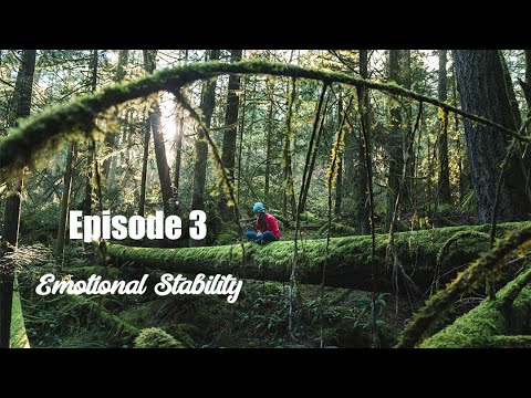 003 - Emotional stability or Emotional control?