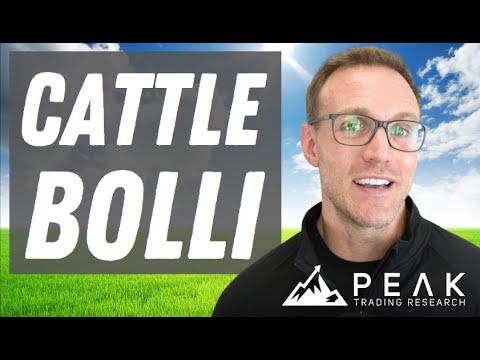 Feeder Cattle Bollinger Band Strategy | Strategy of the Month September 2022 | Peak Trading Research