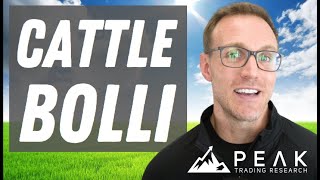 Feeder Cattle Bollinger Band Strategy | Strategy of the Month September 2022 | Peak Trading Research