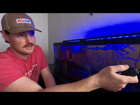 Nicrew ClassicLED Plus review
