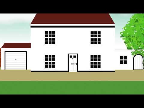 Animation trial