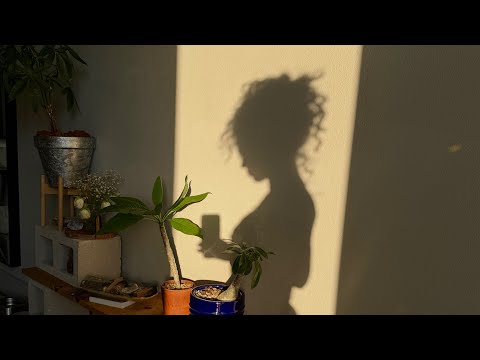 q&a | navigating lust, embodying prosperity, being single + more