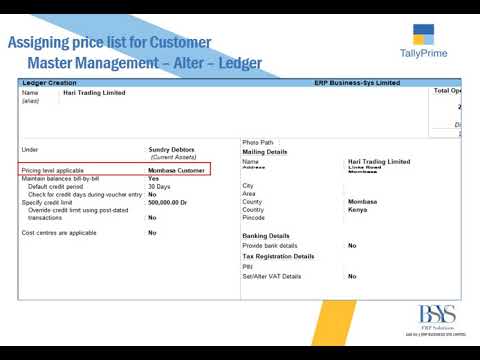 TALLY PRIME CUSTOMIZED MODULE | Customer wise Price List Control