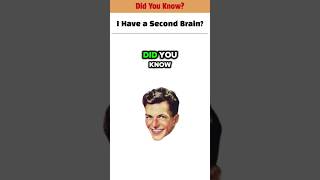 I Have a Second Brain?