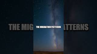 The Forgotten Art of Navigation in Nature