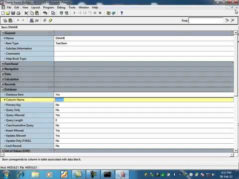 Oracle forms developing -3