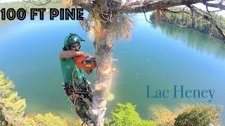 Tree Service Kazabazua