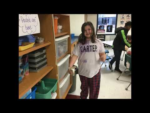 Science Enrichment Fountain  Elementary Fowler's Class 2019 2020 Year in Review