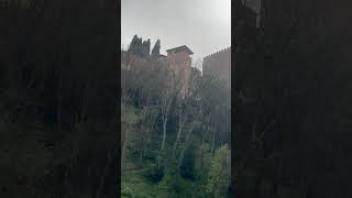 Alhambra #travel #spain #granada