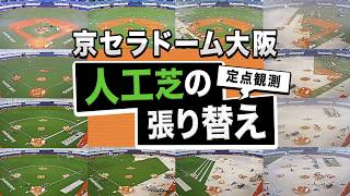 【定点観測】京セラドーム大阪 8年ぶりに人工芝が張り替わるまで！