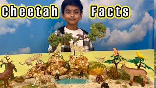 Cheetah Facts for Kids 👦  -  Learn about World Fastest Land Animal 🐆