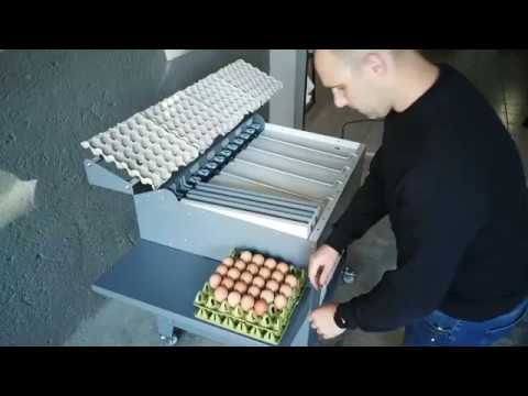 Egg grader EGM1500-3000