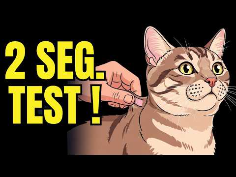 This Dehydration Mistake Is Killing Your Cat Silently