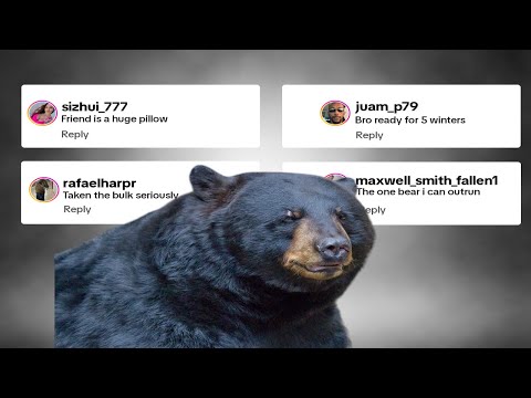 Bear Is Training for the Next Ice Age 🐻❄️💪 | Chat Music