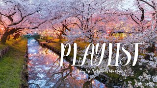 ᴘʟᴀʏʟɪꜱᴛ | 🌸따뜻한 봄날 어울리는 감성 팝송 플리🎶 잔잔한 어쿠스틱 & 로맨틱 팝 l Soft & Romantic Pop for Work(중간광고없음, 2시간 연속재생)