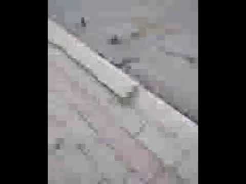video-12568.avi