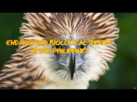 Endangered biological species in the philippines