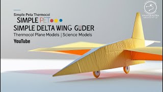 SIMPLE PETA Thermocol simple Delta wing glider | Thermocol Plane models | Science models