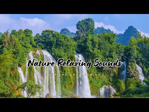 Nature Relaxing Sounds 🌺 Healing Music for Meditation - Calming Music for Anxiety & Stress Relief
