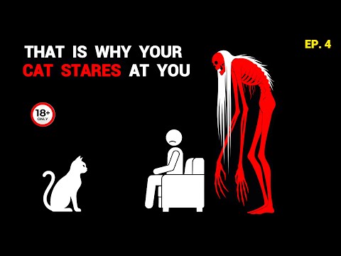 If Your Cat Stares Too Long, Move Out – Analog Horror