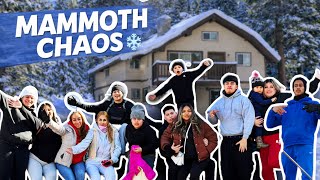 FAMILY TRIP TO MAMMOTH ❄️| SLEDDING, SNOW & CHAOS PT 1