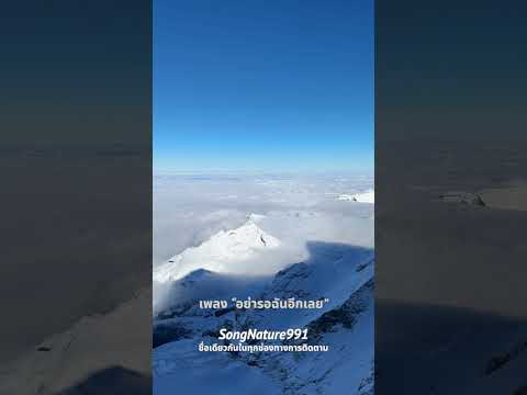 อย่ารอฉันอีกเลย  #เพลงเพราะ #music #เพลงชิลๆ #เพลงชิลๆ #cover #songnature991 #song #coversong #เพลง