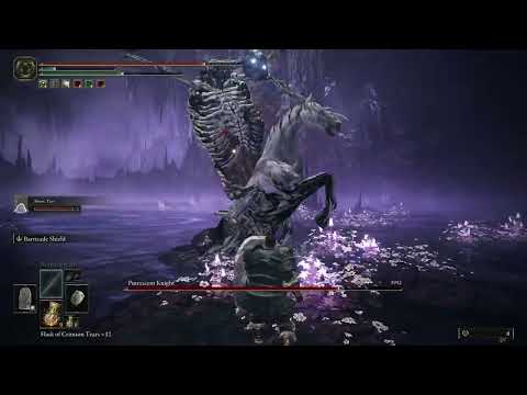 PUTRESCENT KNIGHT with Mimic Tear and Thiollier - Elden Ring Shadow of the Erdtree NG+