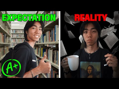 The UNTOLD Truth Behind Architecture School