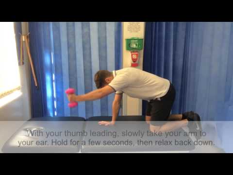 Physiotherapy: 4 point kneel shoulder 'Y' with weight