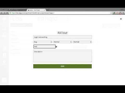 Tutorial 7  Taiga.io - List issues in the project
