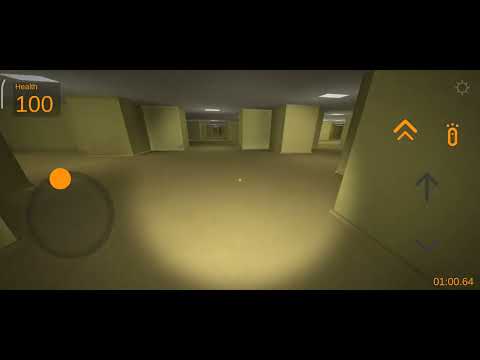 (bird in backrooms found footage)