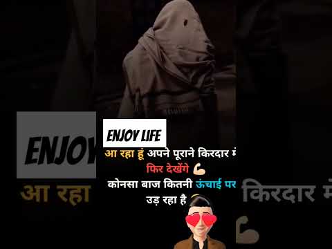 enjoy life