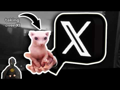 CATS ARE TAKING OVER X!!!