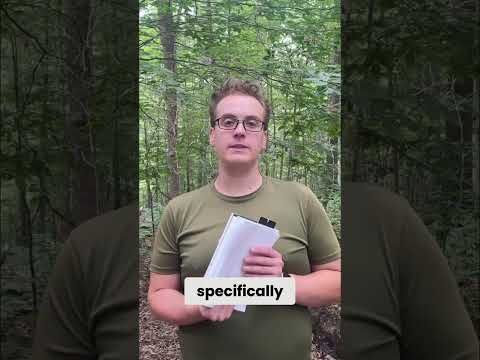 Target Audience: Specific Ideas for Massive Impact! #shorts