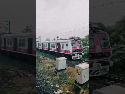 Train crossing 🚂 #train #status