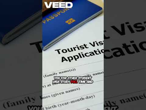 Types of Ireland Visas You NEED to Know in 2025 🇮🇪 (Work, Study, Stamp 4!) #shorts #youtubeshorts