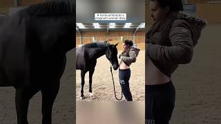 A horse embraces a pregnant woman daily Funny video #tiktokvideo #unitedstatestiktok #australia
