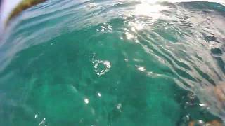 Snorkeling - First Time experience