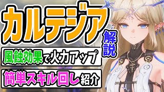圧倒的ヒロイン！風蝕効果アタッカー「カルテジア」解説！　フルールドリスの火力が高いけど意外と風蝕効果の持続ダメージも強い　カルテジアも普段使いなら十分な火力【鳴潮】（武器・音骸・スキル回し・ローテ）