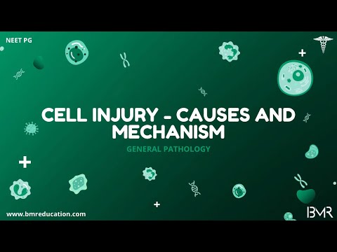 Cell injury - causes and mechanisms | General pathology
