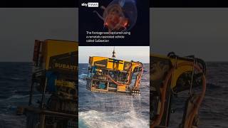 THEY FOUND A COLOSSAL SQUID?? #trending #alien