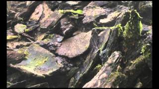 Hooymans Compost: Biofilter