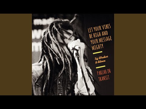 Scream Out Mellow