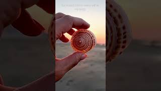 Mindset Awakening - Reborn Yourself #newlife #newmindset  #motivation