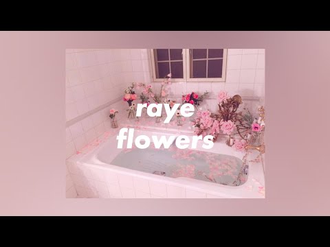 raye - flowers [lyrics]