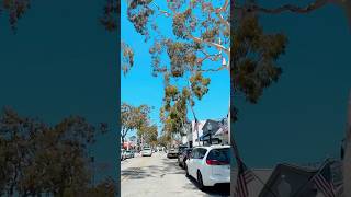 Balboa Island 🏝️ #california #californiacity #usa #beachvibes